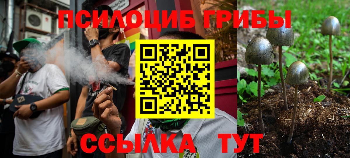 Дедовск  Галлюциногенные грибы Magic Shrooms  Вход с VPN 